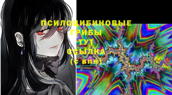 ПСИЛОЦИБИНОВЫЕ ГРИБЫ Семикаракорск