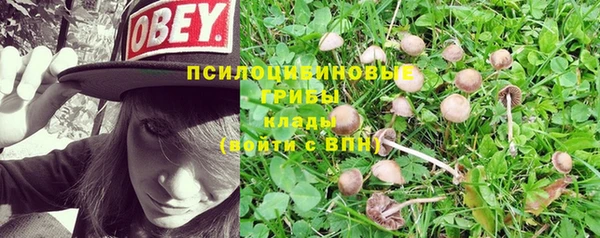 герыч Белокуриха